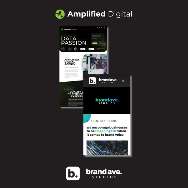 Agency Partners